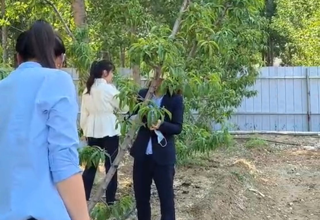 意美特周报 总第001期(pic12) 意美特周报 总第001期(pic12)
